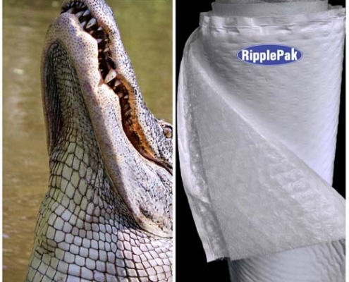 alligator roll