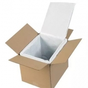 Human organ transport containers