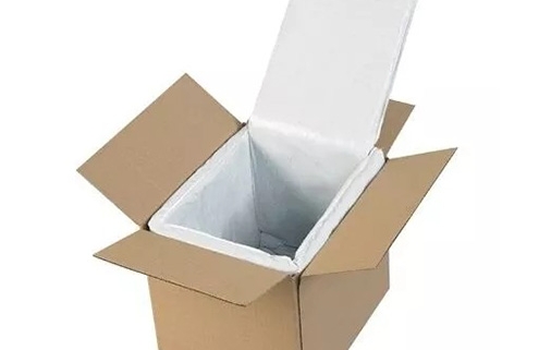 Human organ transport containers