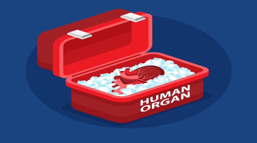 The Science Behind Successful Organ Transplantation